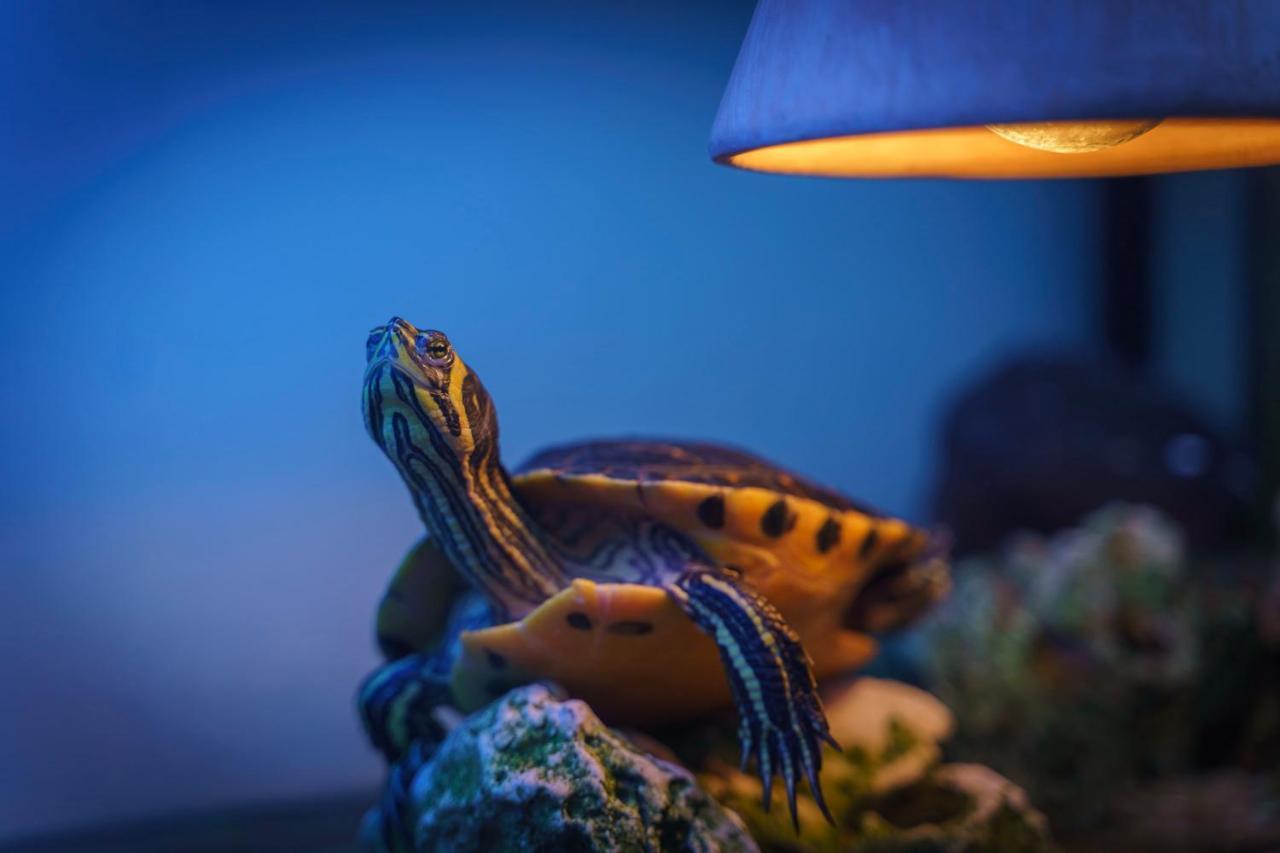 Hotel Hladina Nebrich エクステリア 写真